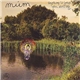 múm - Sing Along To Songs You Don't Know