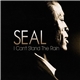 Seal - I Can't Stand The Rain